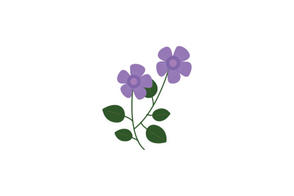 Boho Color Floral Plant Illustration-09: Free Graphics for Authentic Branding