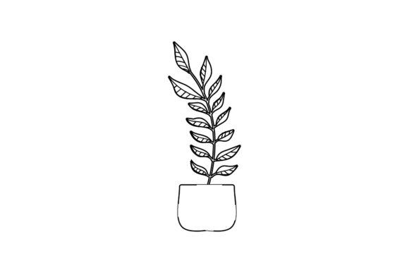 Floral Beauty Illustration Line Style Graphics