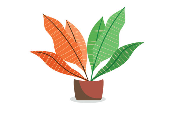 Floral Flower Vector Illustration 20: Graphics & Illustrations for Local Branding