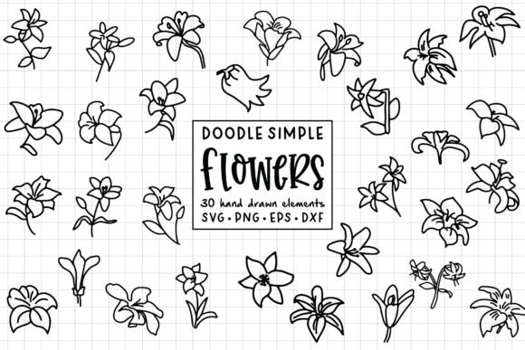 Hand Drawn Floral Elements Bundle for Graphics and Illustrations